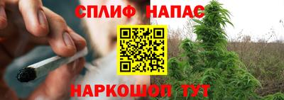эйфоретик Аша