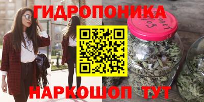 эйфоретик Аша