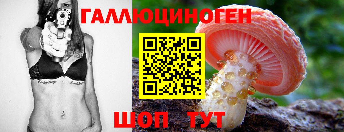 Псилоцибиновые грибы MAGIC MUSHROOMS Ивантеевка